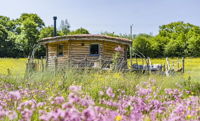 The Cabin at Erwain Escapes nestled in a Wild Flower meadow, Glamping Cabin Carmarthenshire with Hot Tub.jpg